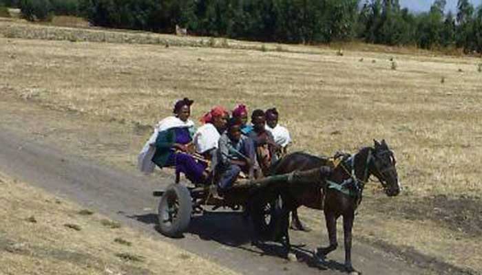 Rural Taxi, Ethiopia.