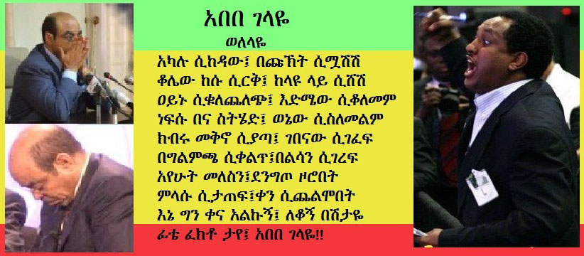 አበበ ገላዬ - ወለላዬ ከስዊድን 