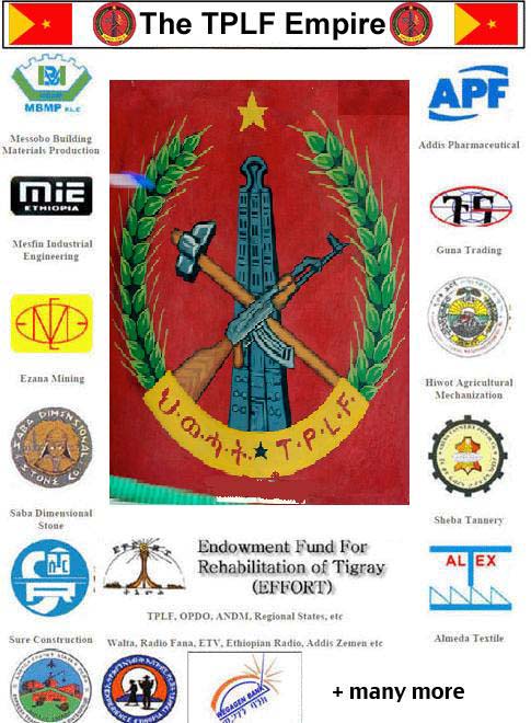 The TPLF Empire, የህወሓት ምስለ-ወራሪነት ሚና በኢትዮጵያ