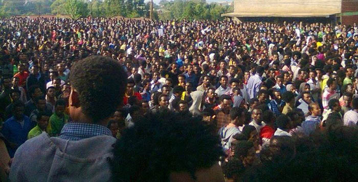 Oromo students protest Wellega. የኦሮሞ ተማሪዎች በወለጋ ተቃውሞ አሰሙ