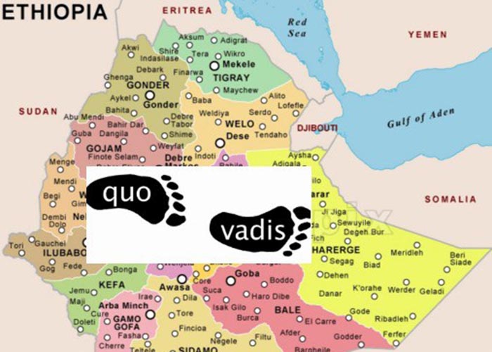 Quo Vadis Ethiopia: Where Are You (not) Going?