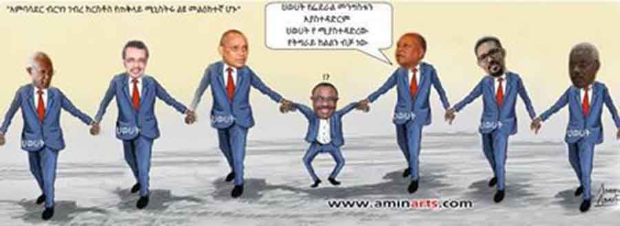 TPLF