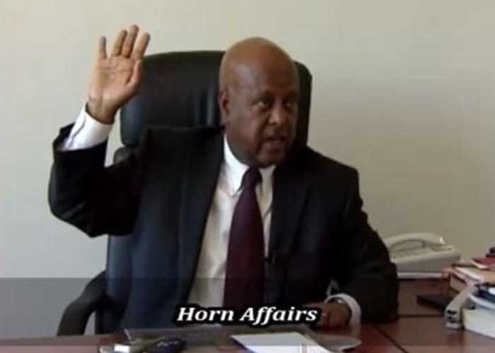 ሌተናል ጄኔራል ፃድቃን ገ/ትንሳኤ Photo &ndash; General Tsadkan during an interview with HornAffairs. Feb. 2015