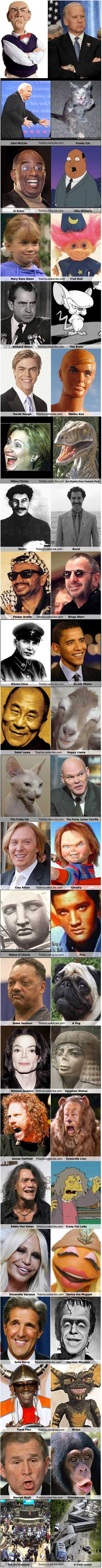 Look alikes መመሳሰሎች 