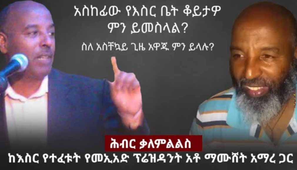 Mamushet Amare