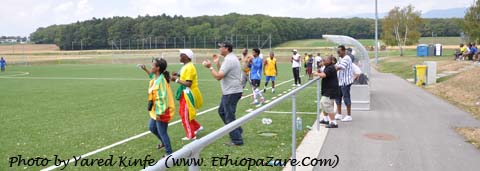 ስዊድን ጎል ሲያስገባ የደጋፊዎቹ ፈንጠዝያ