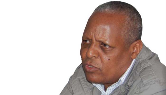 Prof. Merera Gudina