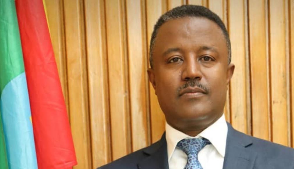 Spokesperson of the Ministry of Foreign Affairs of the F.D.R of Ethiopia Nebiat Getachew