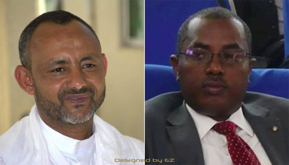 Lakew Ayalew and Dr. Fanta Mandefro