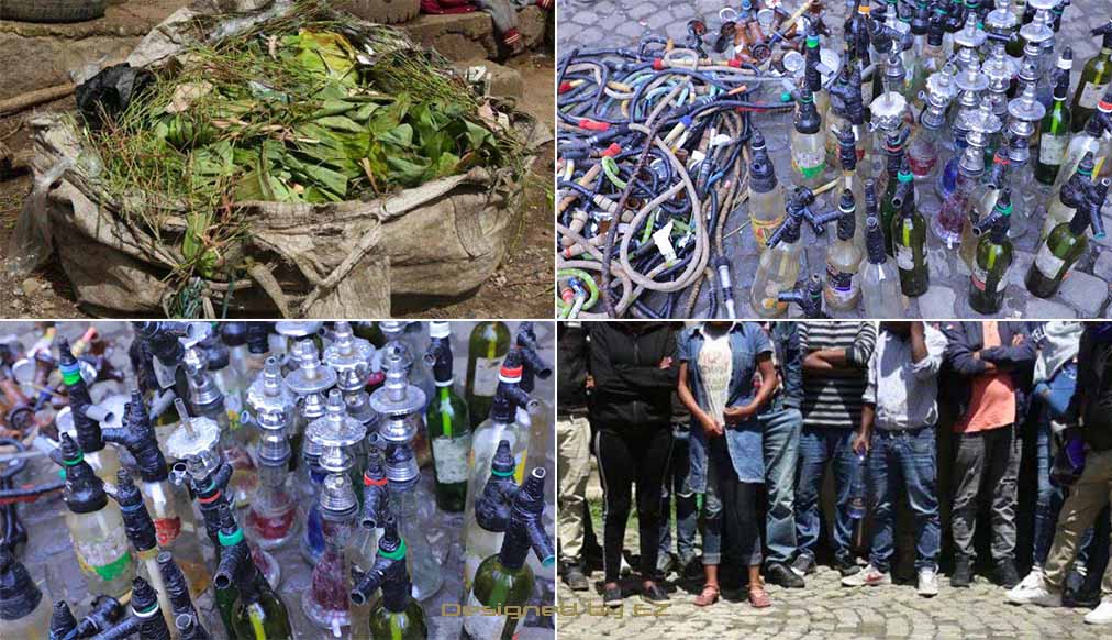 በፖሊስ ቁጥጥር ስር የዋሉ አስጫሾችና አስቃሚዎች፤ እንዲሁም ዕቃዎቻቸውና ጫት