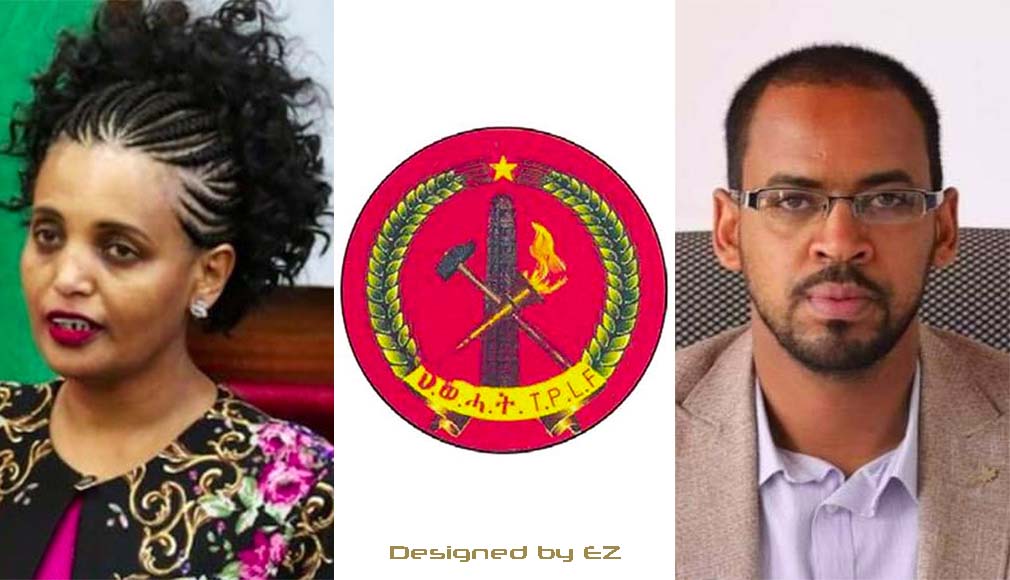 Birtukan Mideksa, TPLF, Nebiyu Sihul Michael