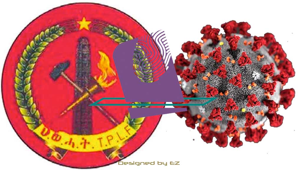 TPLF and Ethiopian Election 2020
