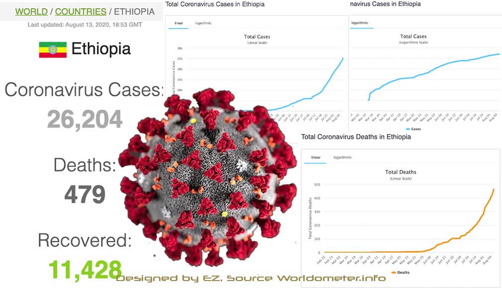Total coronavirus cases in Ethiopia, August 13, 2020