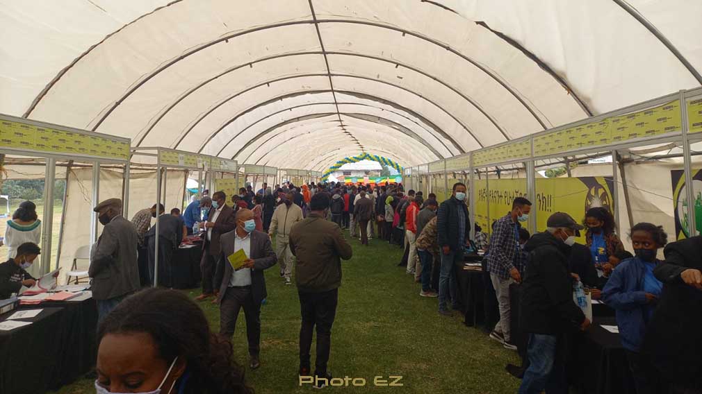 አማራ ባንክ