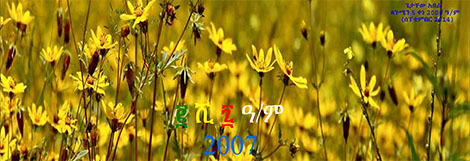 መልካም አዲስ ዓመት! - ጌታቸው አበራ Happy New Year by Getachew Abera