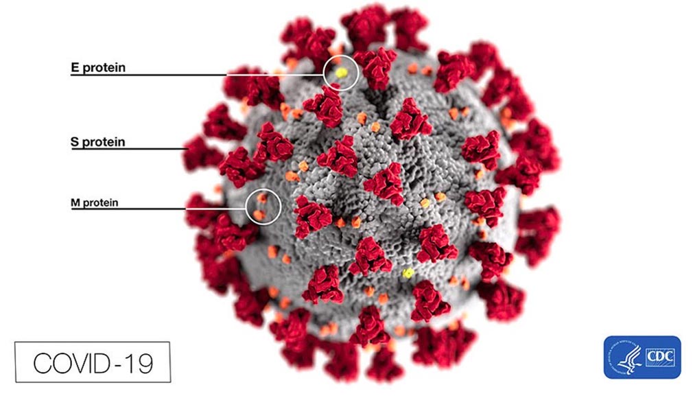 This illustration, created at the Centers for Disease Control and Prevention (CDC)