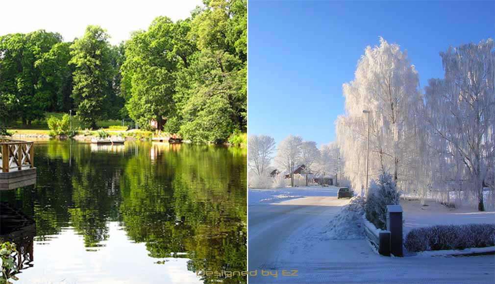 Summer and winter