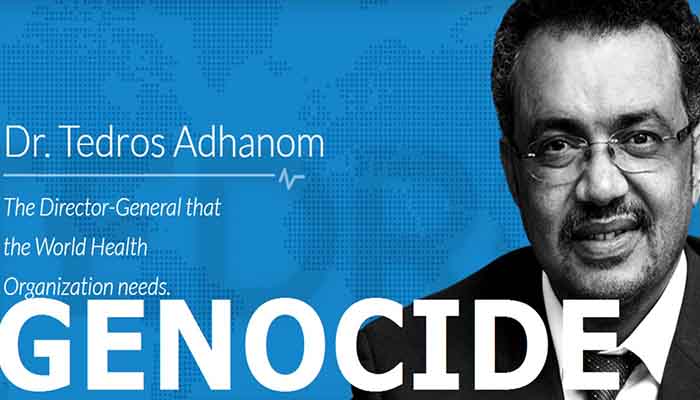 Tedros Adhanom, WHO Director General