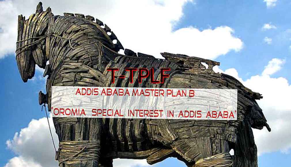 Oromia Special Interest in Addis Ababa