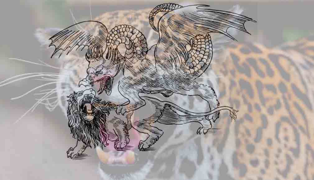 Chinese Neocolonialism in Africa