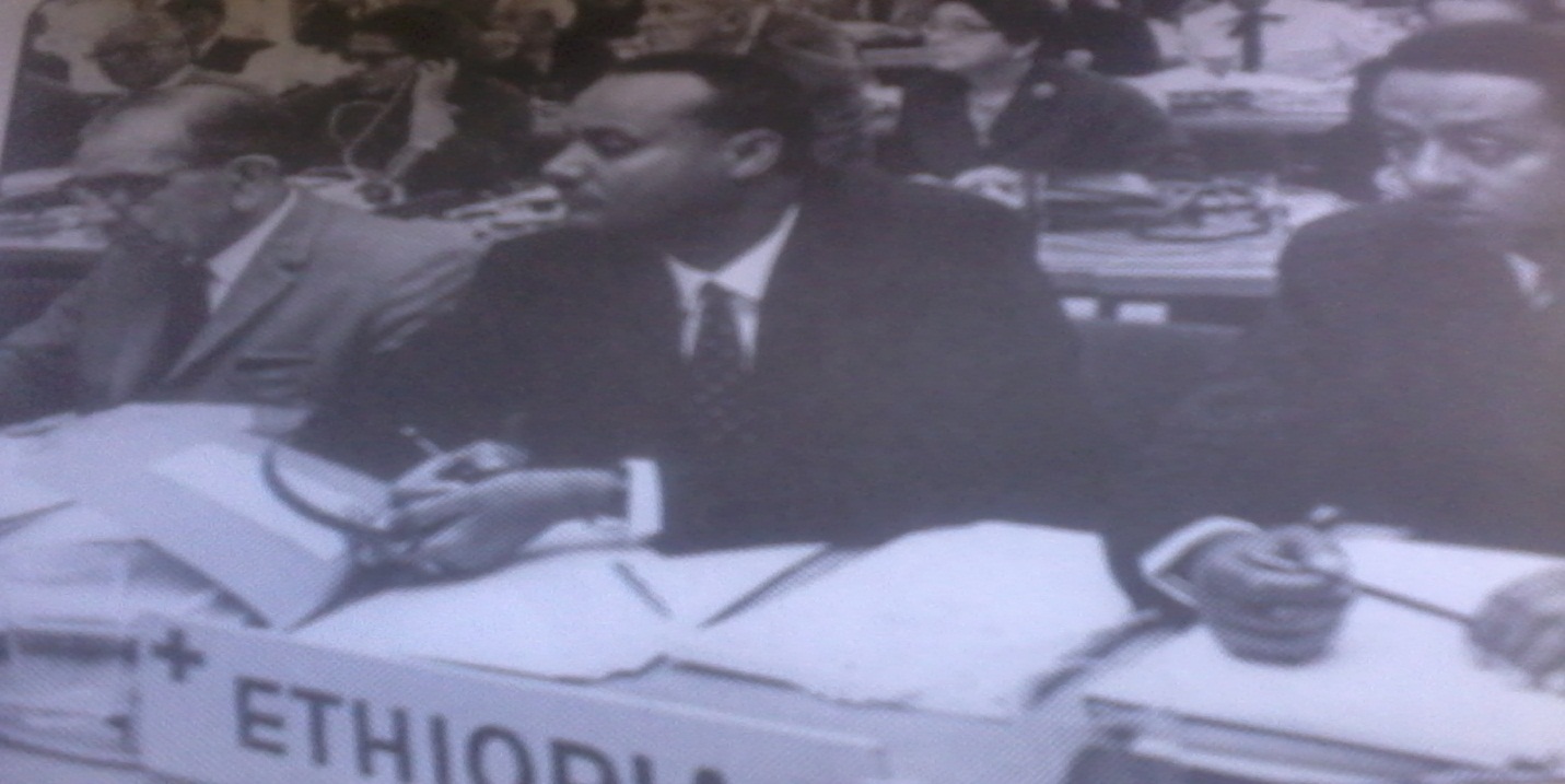 በቀይ መስቀል ማኅበር ስብሰባ