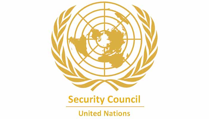 United Nations Security Council